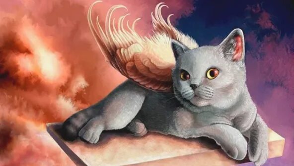 soot commission by Apofiss on deviantART Cat art, Anime cat, Black cat art