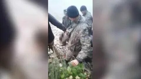 Последние новости о наталье сомовой пропавшей туристке