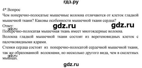 Ответы на вопросы биология 8 класс драгомилов