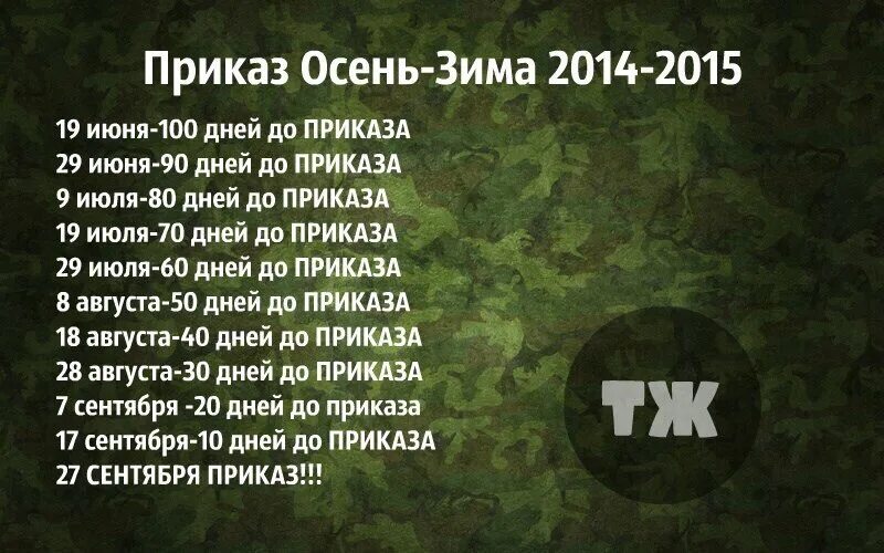 100 дней до приказа осень зима 2021. Осенний приказ 2023. Приказ осень зима. Осенний приказ 2023. Осенний приказ 2023.