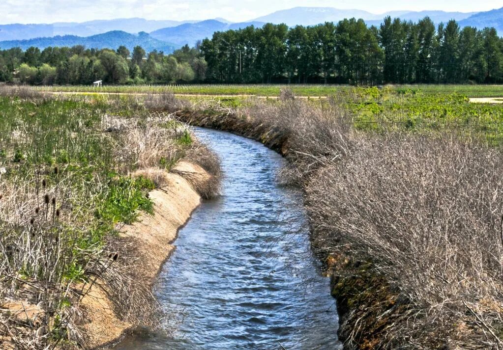 Река числа. Водный канал. канава. искусственная река. канал водоем.