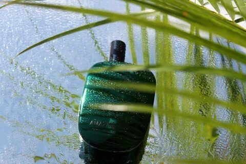 Comme des garcons amazingreen