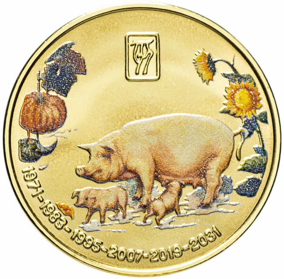 когда будет год свинья в каком году. иероглиф свинья китайский. год кабана какие года календарь. год свиньи. год свиньи по гороскопу.