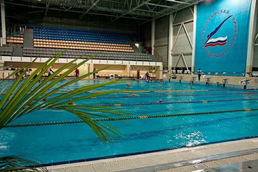 3ds max модель бассейнов. Бассейн 3д макс. 10 д. Бассейн д. 3ds max модель бассейнов.