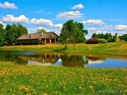 Пушкинские горы 3 дня
