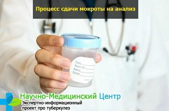 Как правильно сдать мокроту на анализ. Как сдавать мокроту. Сдача мокроты на анализ. Как собрать мокроту для анализа.