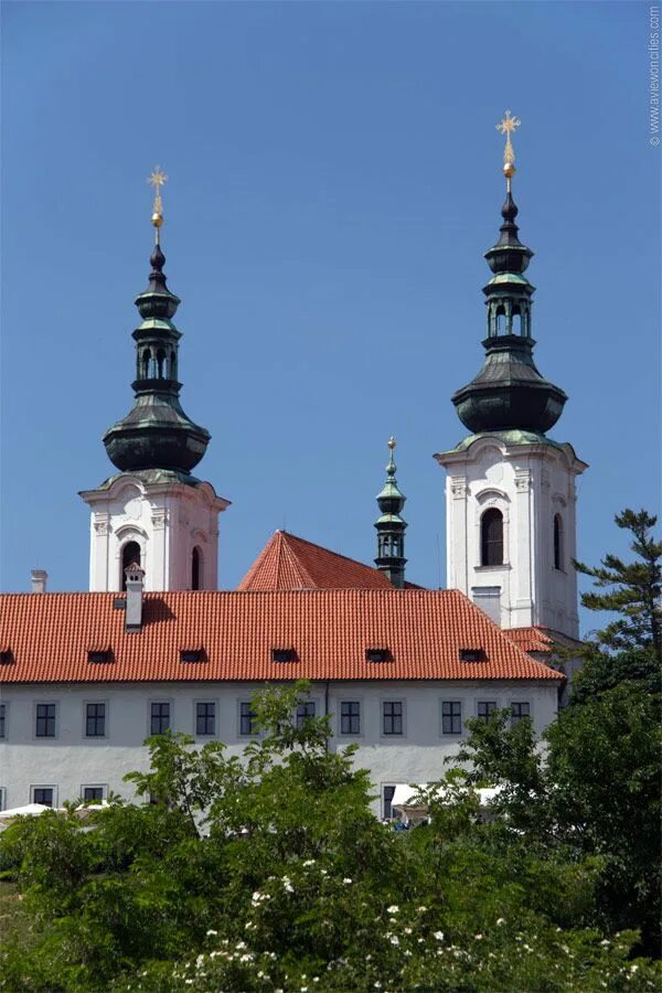 Церковь мартиниана в ферапонтовом монастыре. Зачатьевский ставропигиальный женский монастырь. Троицко сергиевский варницкий монастырь. Страговский монастырь в праге. Толгский монастырь фото.