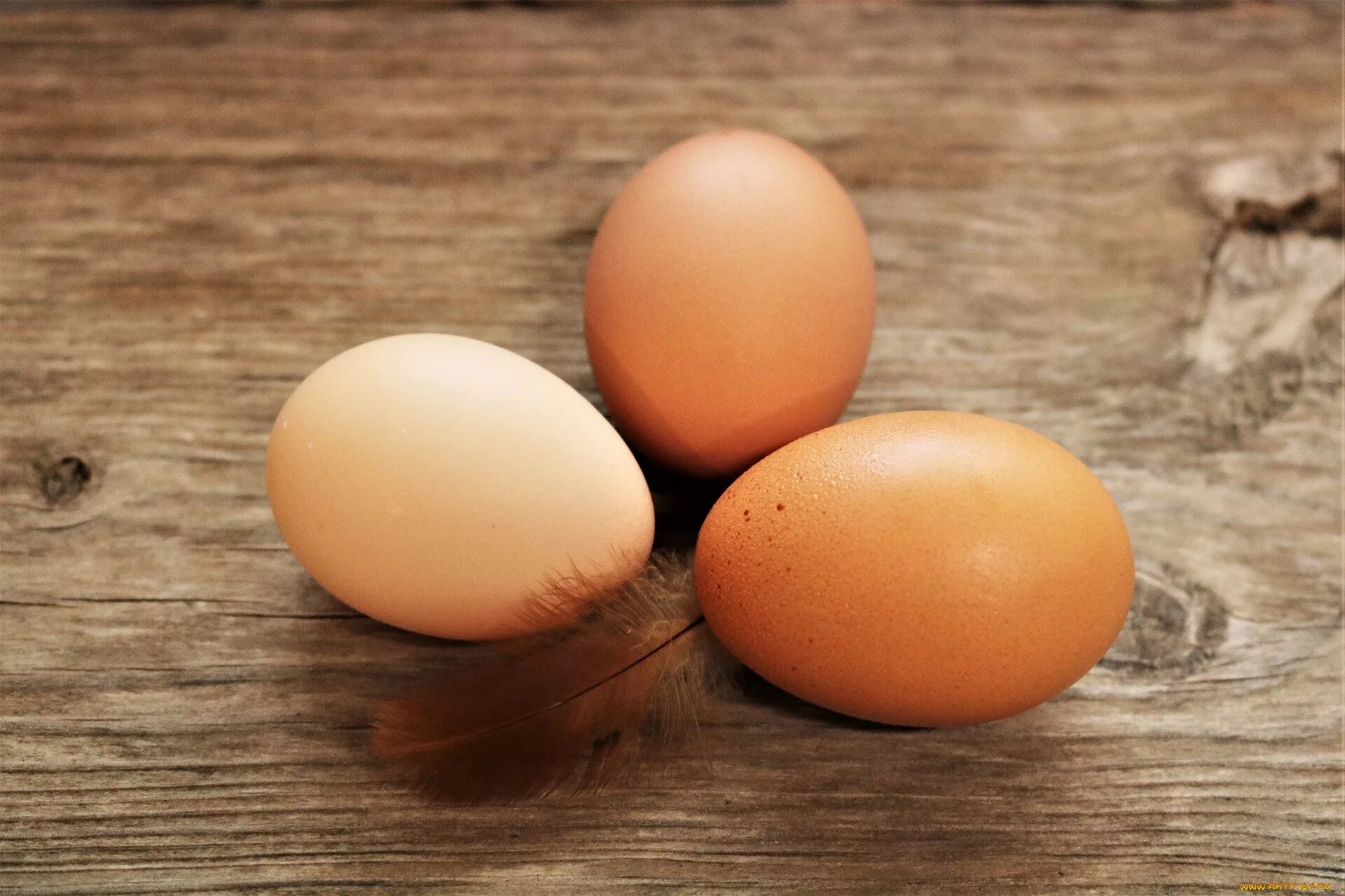 Третье яичко. Яйцо куриное. Яйцо куриное коричневое. Три куриных яйца. Яйца 3 шт.