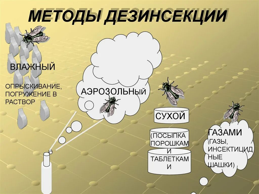 Методы дезинсекции. Памятка по дезинсекции. Памятка по дератизации. Дезинсекция способы проведения.