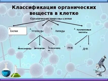 В состав липидов входит кислород