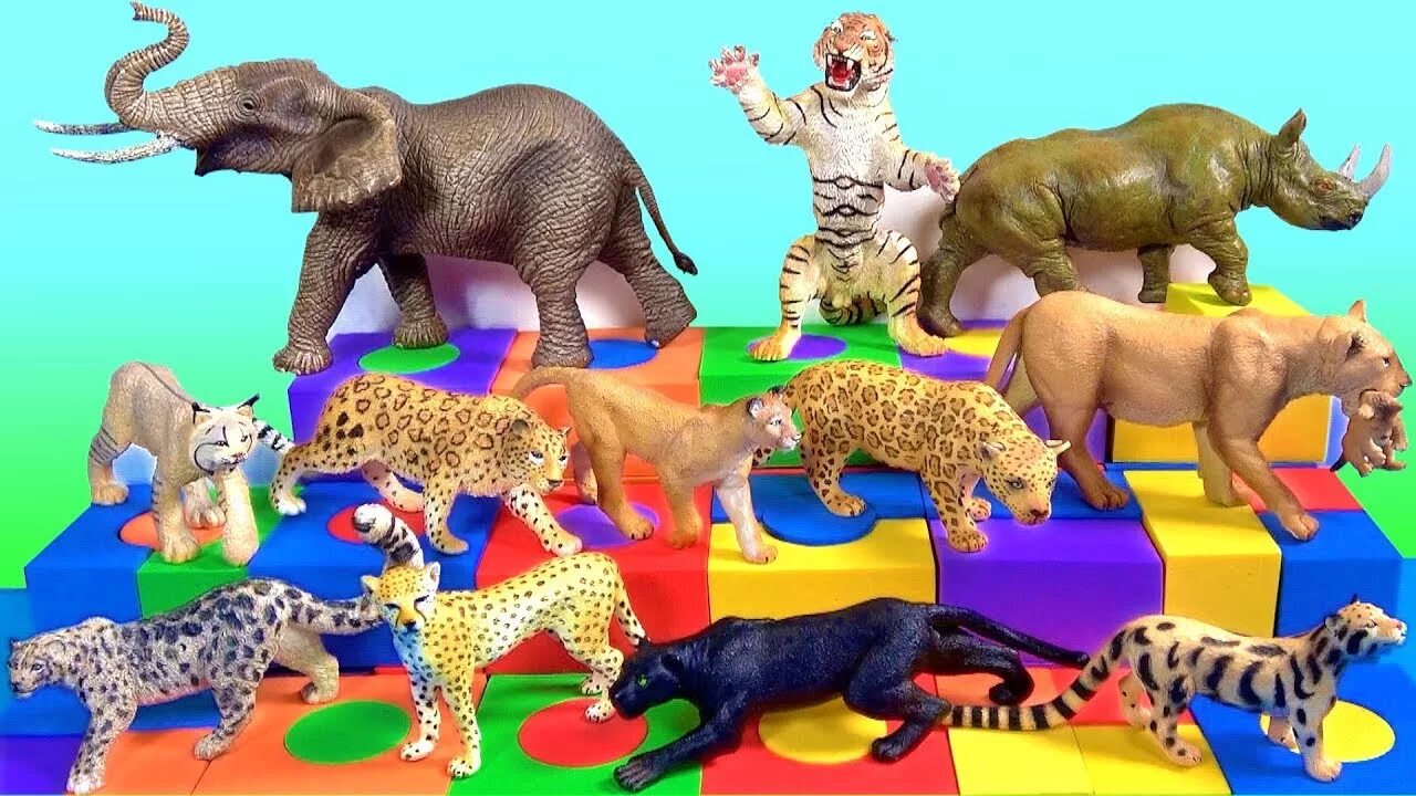 Zoo animals videos. Игрушки животные. Дикие животные игрушки. Игрушка для животных. Сафари игрушки.