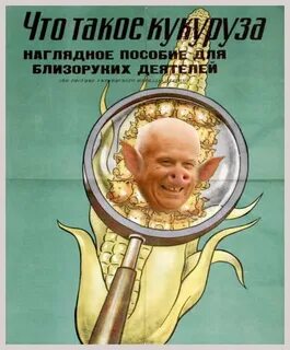 Хрущев и кукуруза