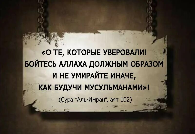 Не надейся не умрешь. Бойтесь Аллаха должным образом аят. О те которые уверовали бойтесь Аллаха. О вы которые уверовали. О Тее которые уверовали.