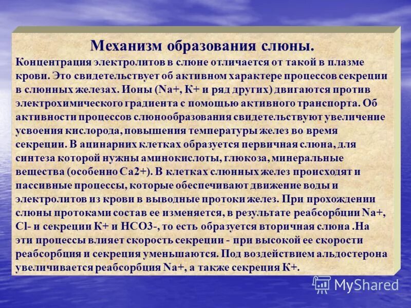 Формирование слюны