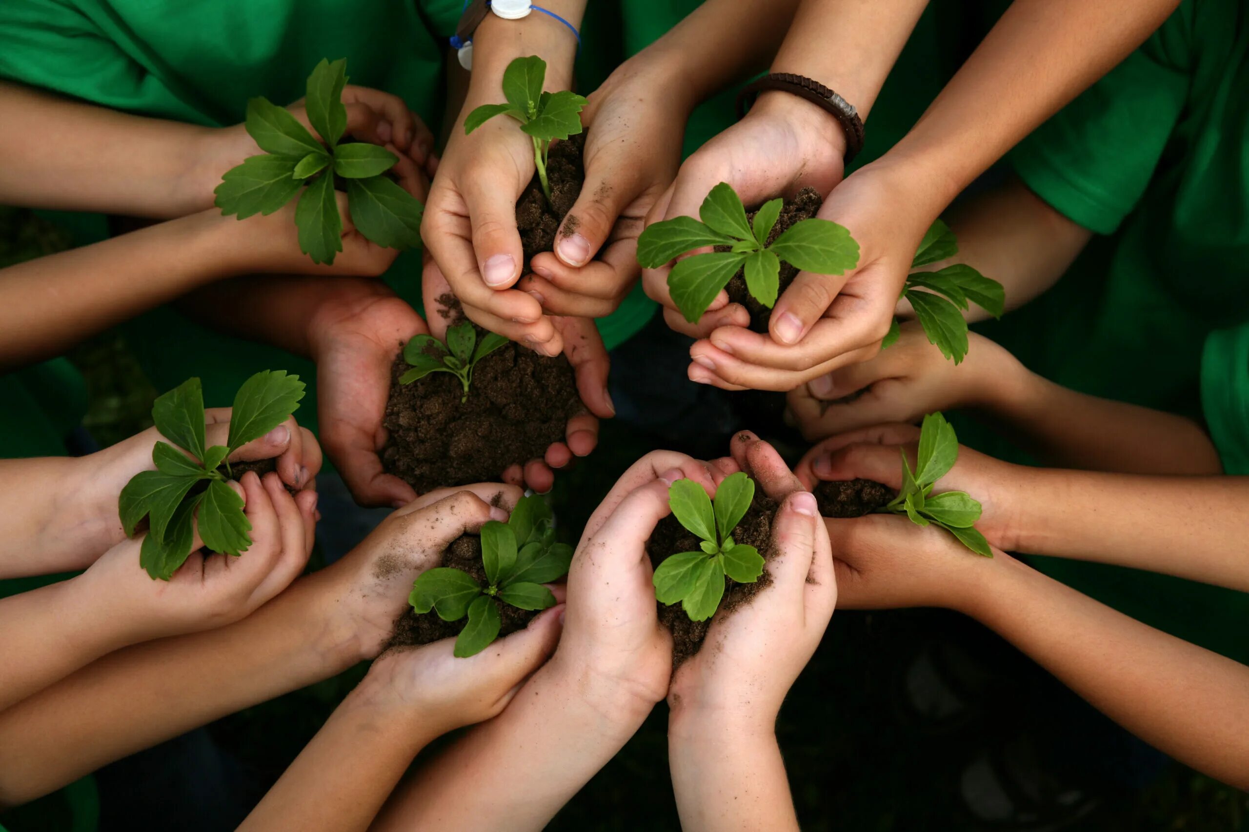 The environment is us. The environment is us