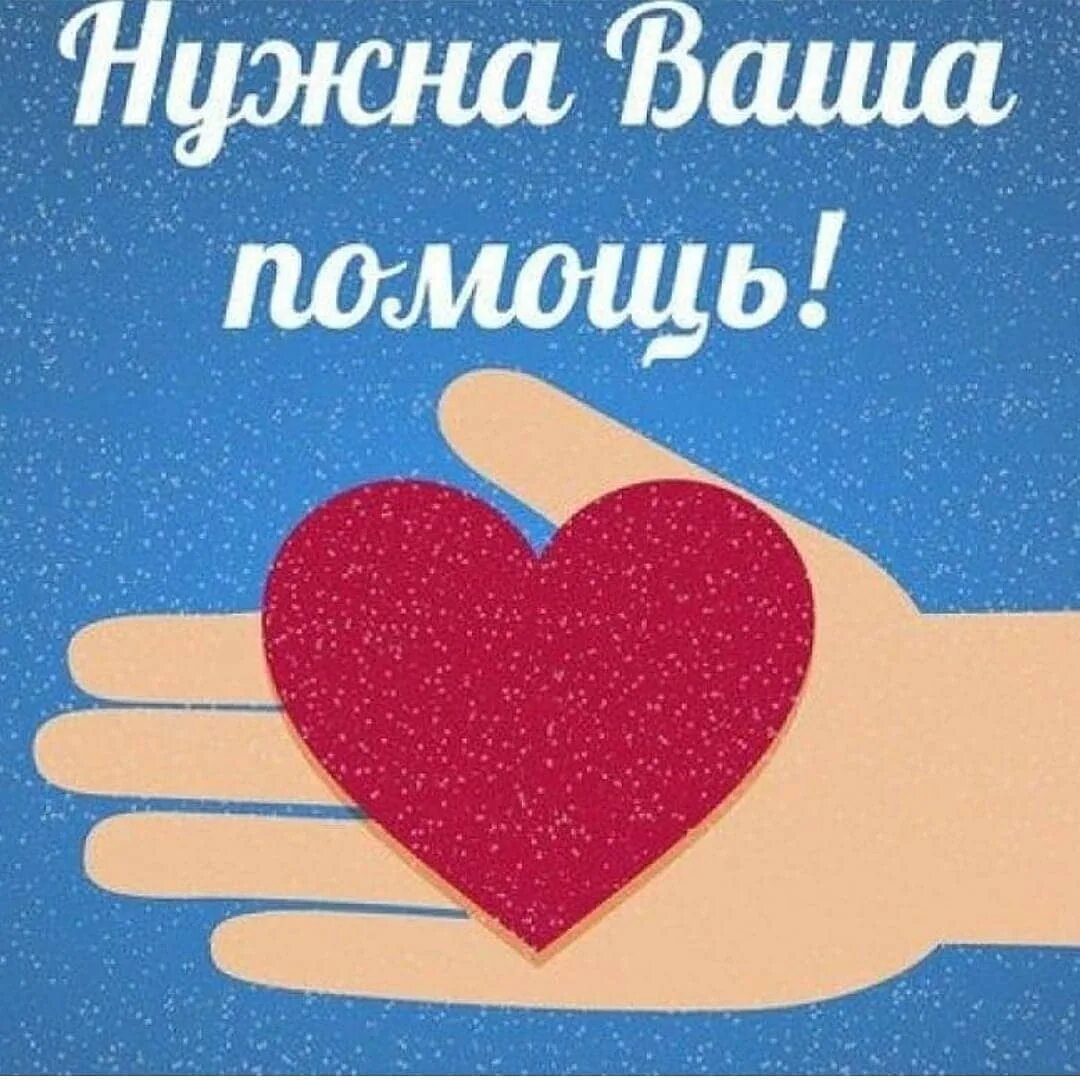 Изображение не требует описания
