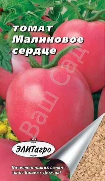 малиновое сорта помидор семена алтая. томат малиновое чудо фирма. малиновые сердечки томат. малиновые сердечки томат. золотая сотка алтая розы.