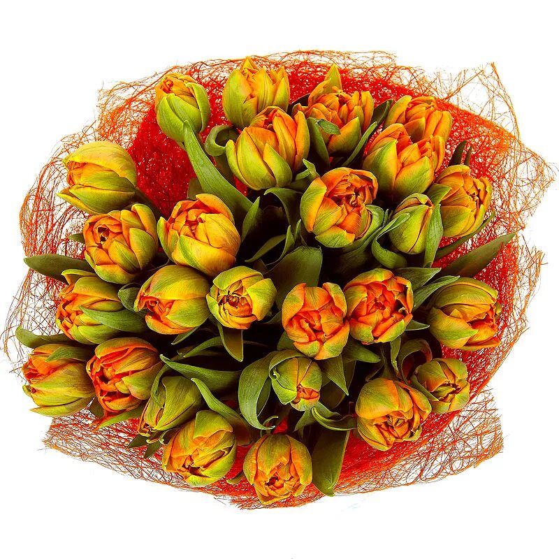 Тюльпаны новосибирск розница. Букет тюльпанов 25 шт. Букет из разноцветных тюльпанов. Букет из 25 тюльпанов. Оранжевые тюльпаны букет.