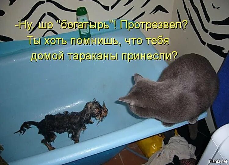 Выйдешь из дома съем