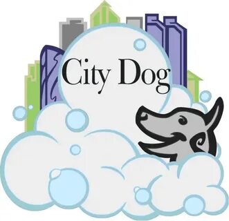 City dog