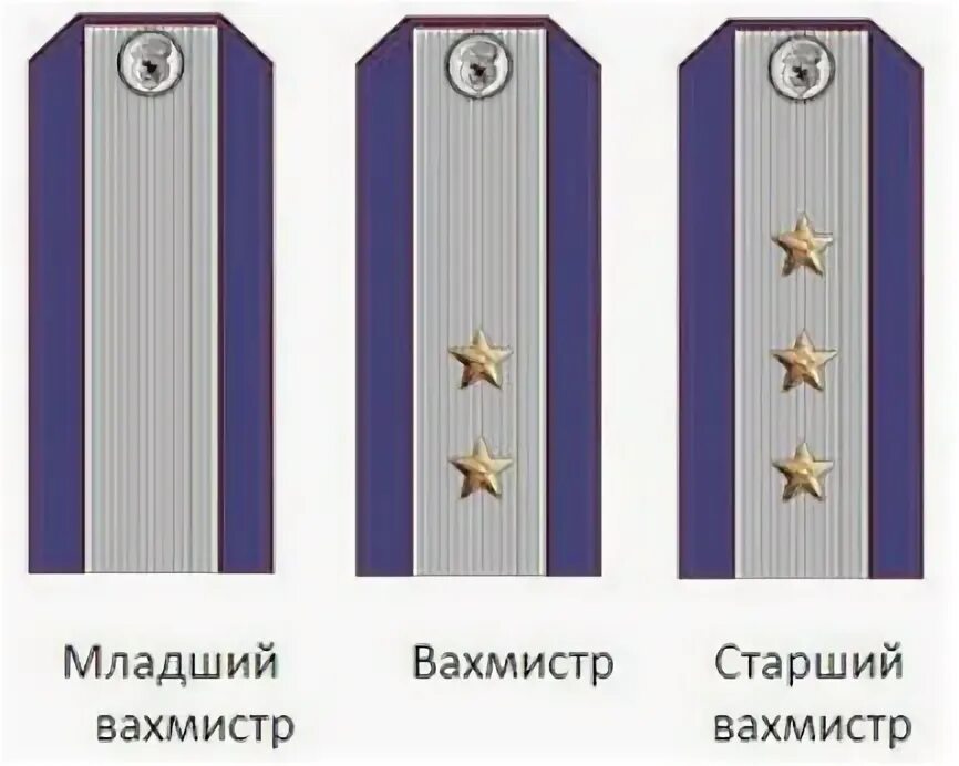 Вахмистр это какое звание сейчас. Казачьи чины вахмистр. погоны младшего вахмистра реестровых. погоны вахмистра войска донского. казачьи погоны младший вахмистр.