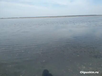 Озеро червяное