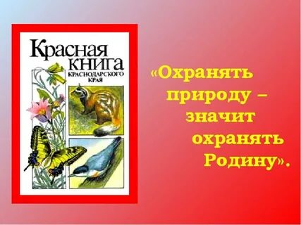 Презентация красная книга нашего края