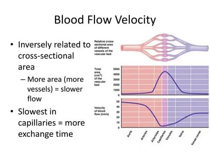 Blood flow