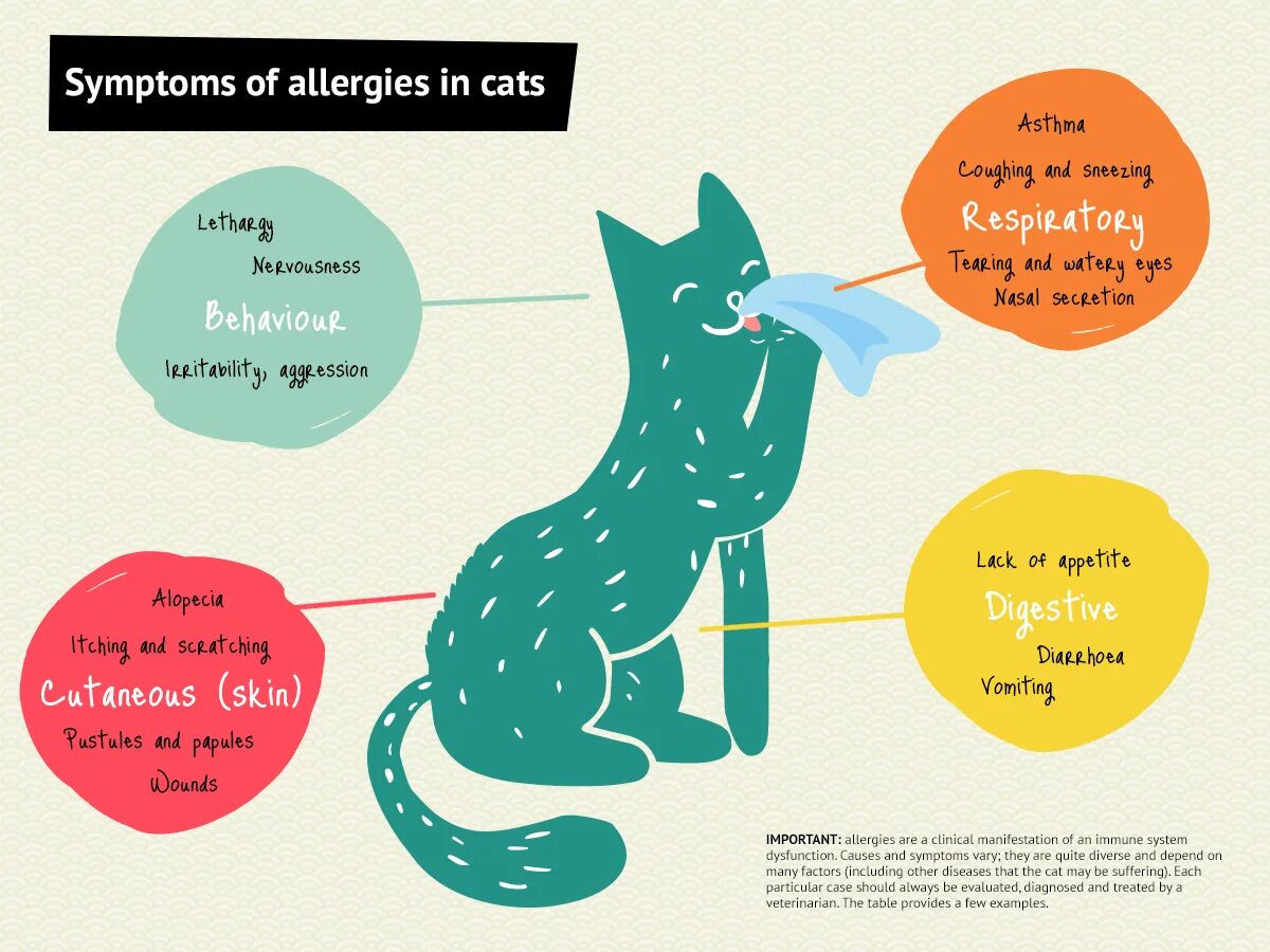 Cat Allergy. Allergic to Cats.
