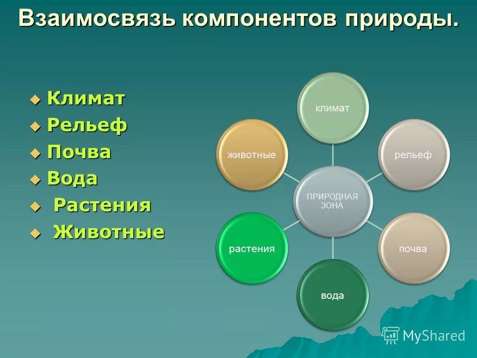 схема природного комплекса. взаимосвязь элементов природы. компоненты природного комплекса. компоненты природы 8 класс география. схема природного территориального комплекса.
