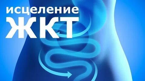 Матрица горяева исцеление жкт