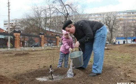 Садовой управляющая компания