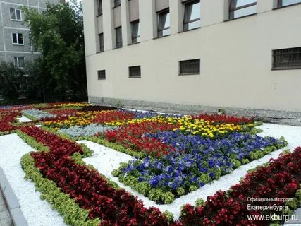 Цветы свердловский