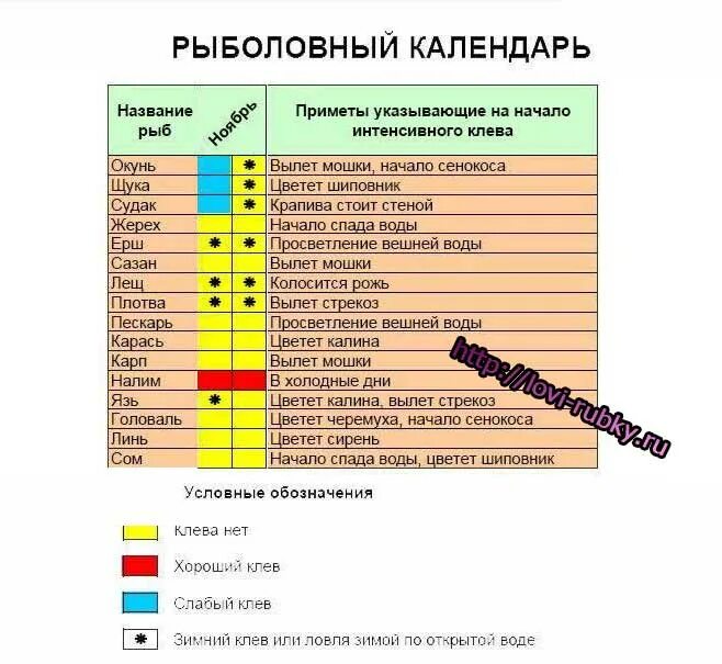 Клев октябрьском. Рыболовный календарь. Таблица рыболова. Прогноз клёва рыбы. Рыболовный календарь 2013 года.