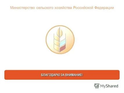 Работа мсх