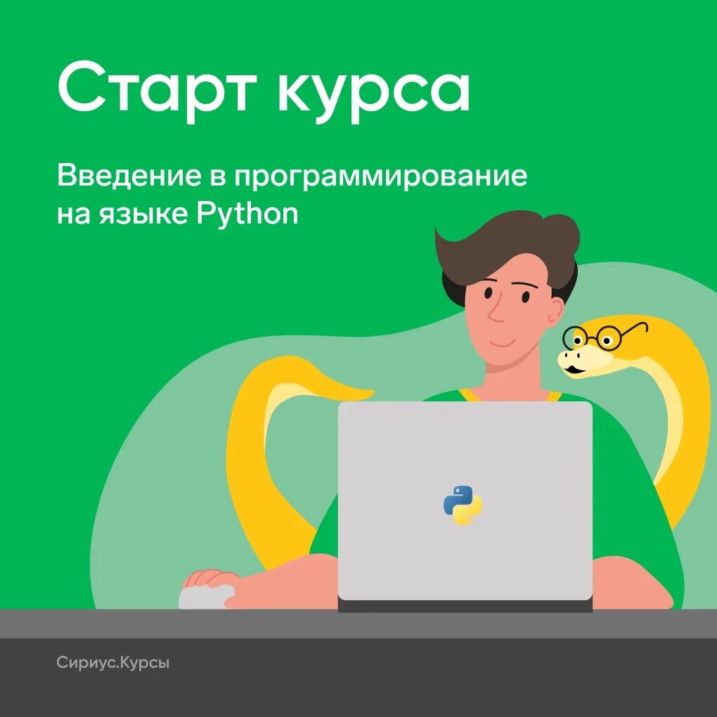 Курсы введение в программирование. Введение в программирование. программирование для начинающих. кодить.