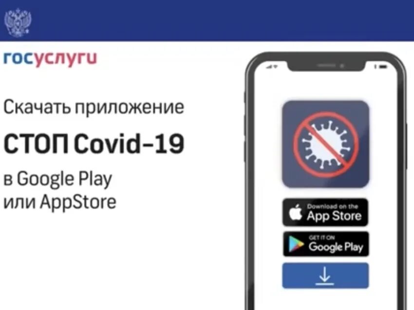 Стоп коронавирус. Приложение госуслуги стоп коронавирус. Минцифры айти. Qr код госуслуги. Приложение госуслуги стоп коронавирус.