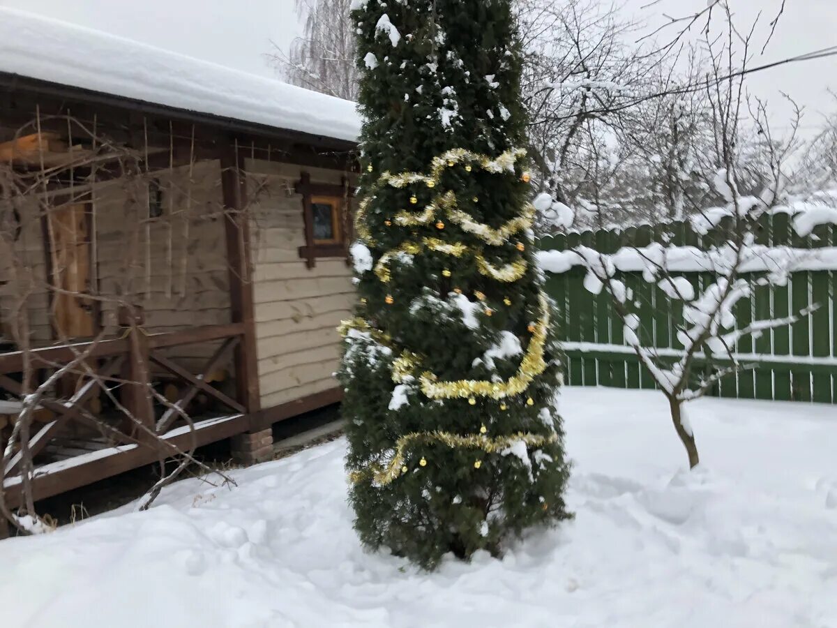 Городское озеленение Ландшафт74.ru Челябинская область
