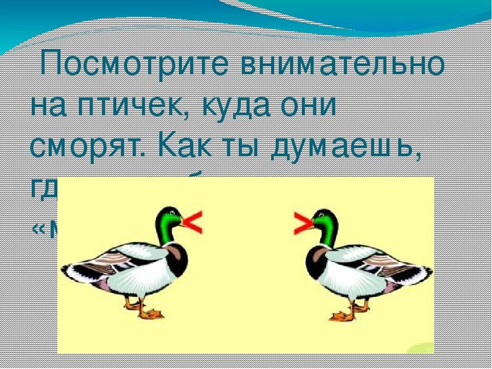 Сравнение птиц 3 класс. Знаки сравнения картинки. Знаки сравнения средняя группа птица. Картинки знаки сравнения в виде животных. Знаки сравнения крокодильчики.