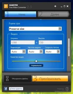 Хамстер бесплатное