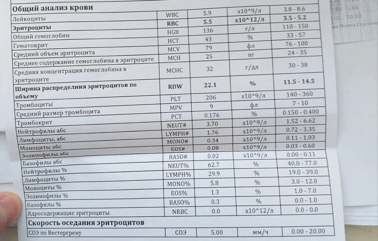 Что означает в анализах повышенное. RDW-SD В анализе крови норма для женщин. RDWA В анализе крови норма у детей. RDW анализ крови расшифровка. Общий анализ крови RDW SD норма.