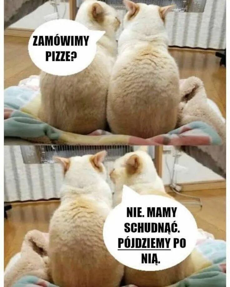 Пин-ап в СССР (26 фото) / Интересное / ВАРНЕТ Doge meme, Humor, Memes