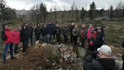 Погода в каменном бору