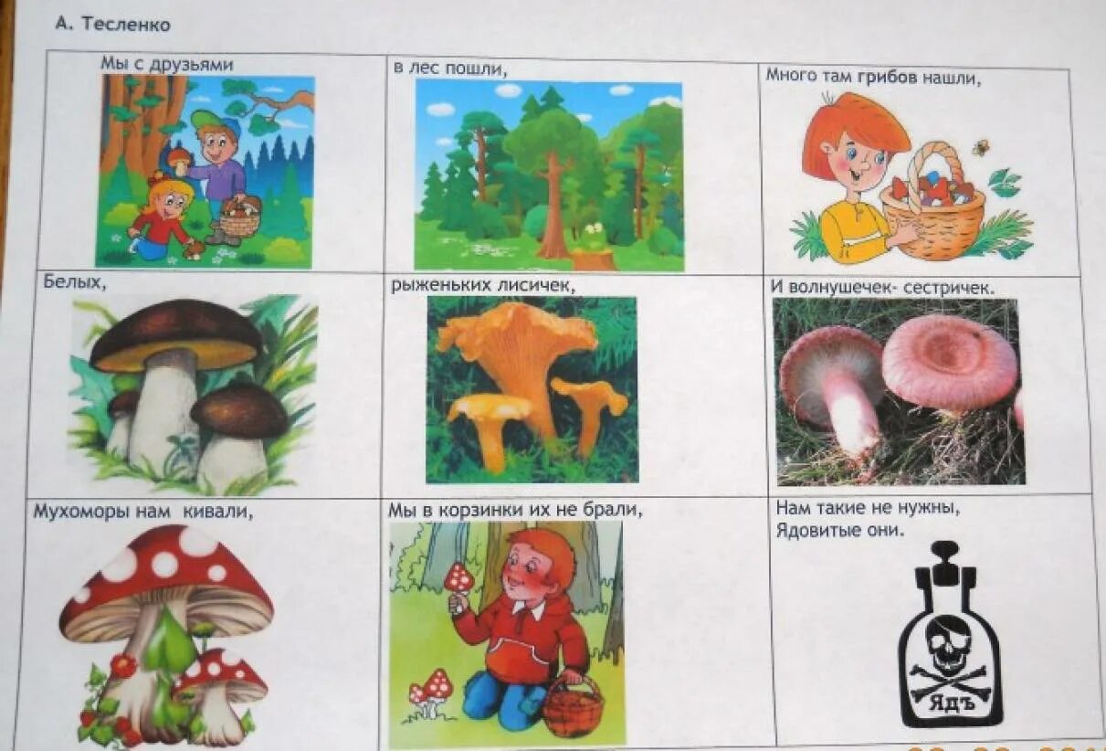 Схема описания осени. Мнемотаблицы для дошкольников грибы. Мнемотаблицы по грибам и ягодам. Мнемотаблицы на тему грибы для детей. Мнемотаблицы для дошкольников ягоды.
