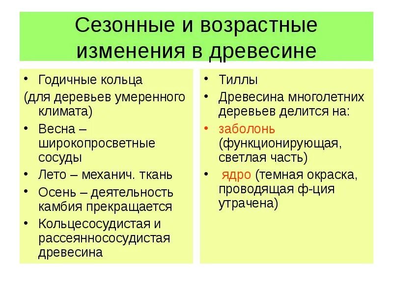 Возрастные изменения функций. Возрастные изменения древесины. Возрастные изменения древесины сводятся к следующему. Возрастные и сезонные изменения растений. Возрастные изменения вторичной древесины.