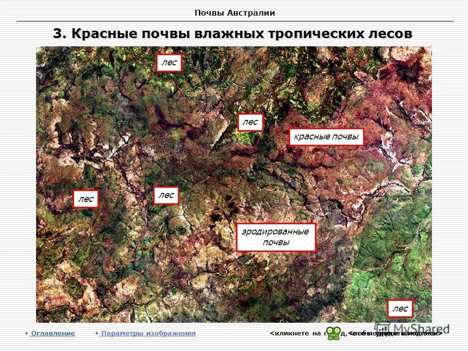 почвы австралии. почвы влажных тропических лесов. почвы австралии. саванны и редколесья австралии почвы. почвенные ресурсы австралии карта.