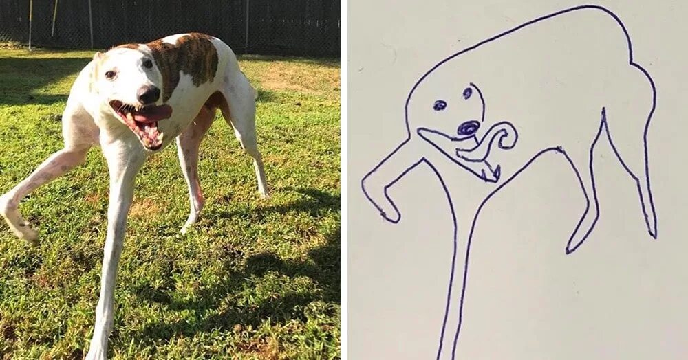 Неудачные рисунки. Смешная собака рисунок. Плохо нарисованная собака. Собаки плохо видят