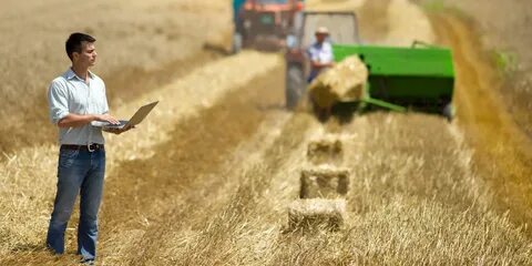 Making farm