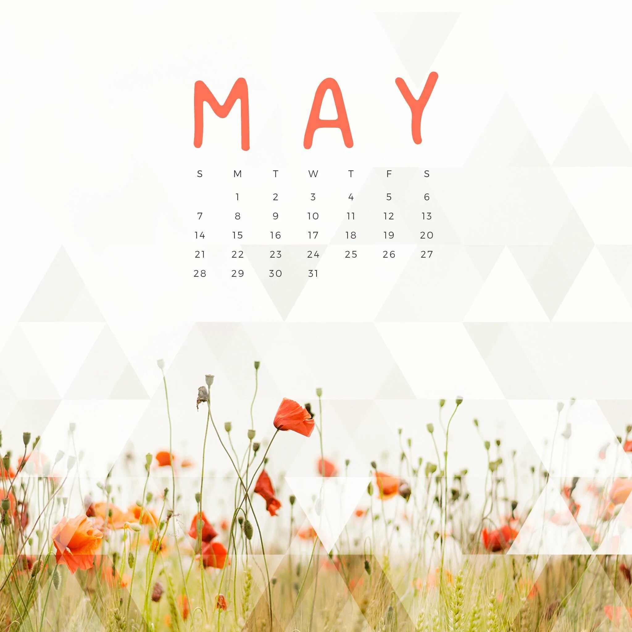 Календарь на май 24г. Календарь май. Красивый календарь. Календарь иллюстрация. Обои с календарем на месяц.