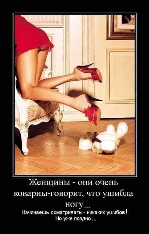Сучка строит коварные планы 